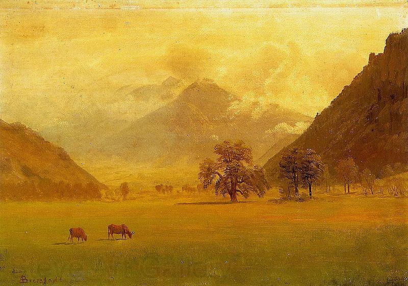 Albert Bierstadt Rhone Valley Spain oil painting art
